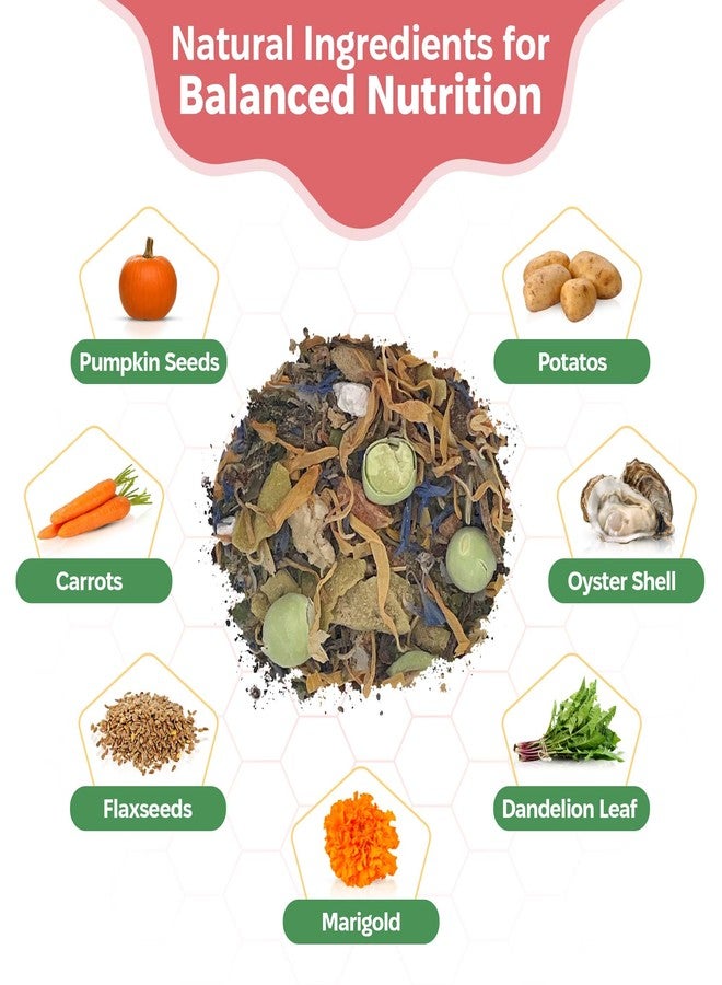 Snout and Shell Isopod Food A Bountiful Selection Crafted to Enrich Your Pet's Habitat and Diet (Garden Foraging Blend) - Image 3